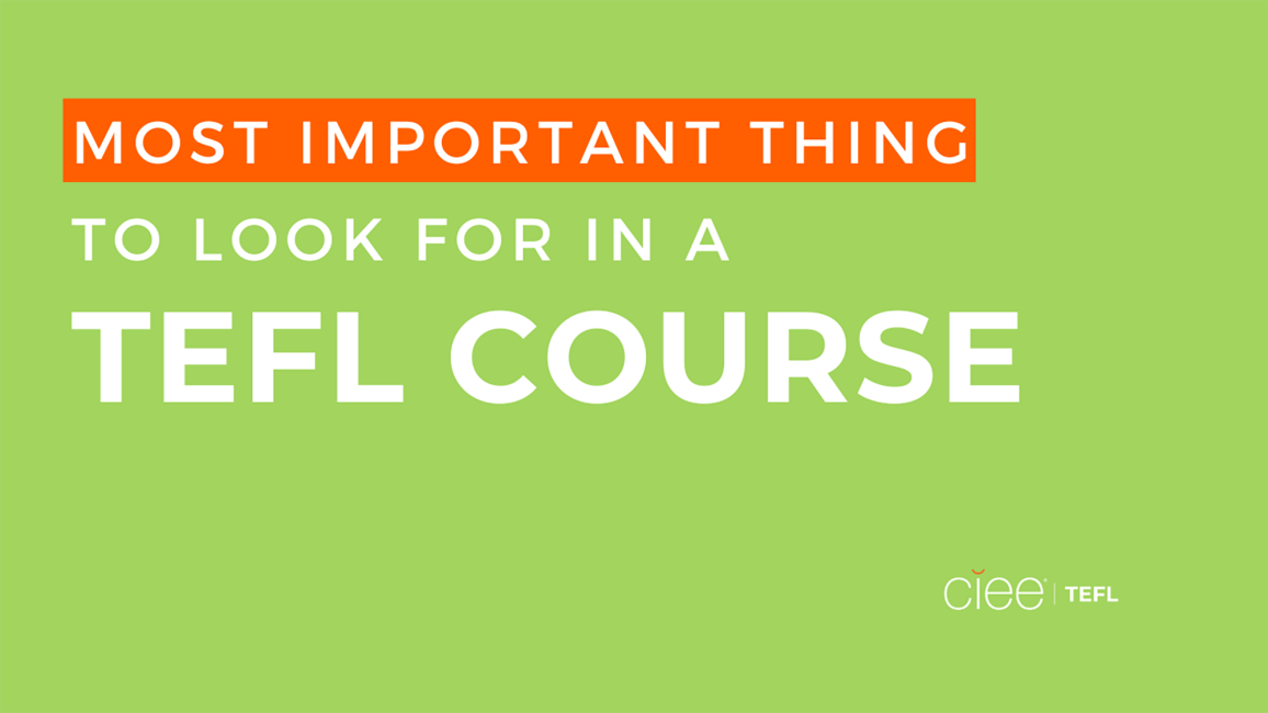 what to look for a in a TEFL course
