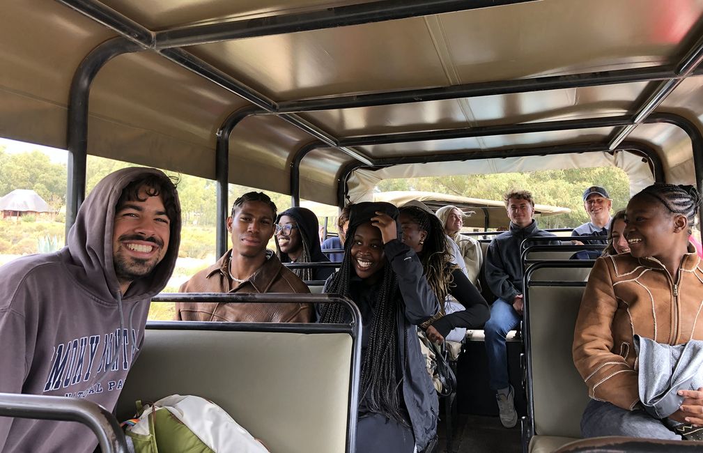 cape town study abroad student safari