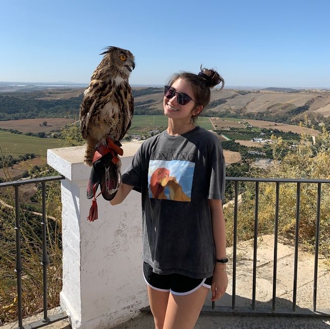high school summer abroad in Spain