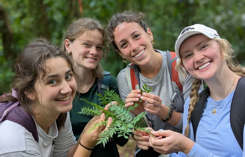 monteverde abroad environmental studies