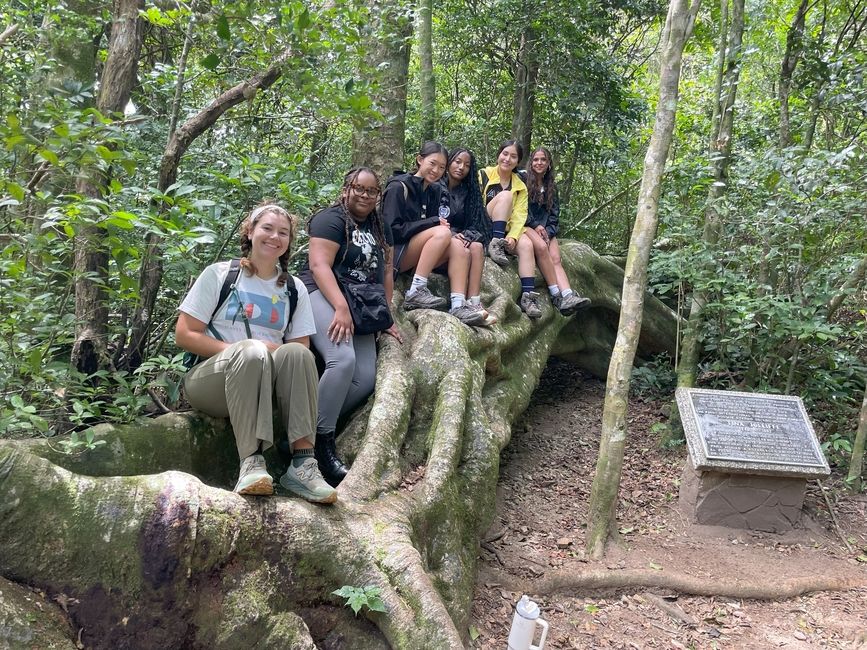 Teens sitting on roots in the forest while studying abroad