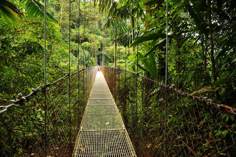 monteverde-hanging-bridges-rain-forest-costa-rica