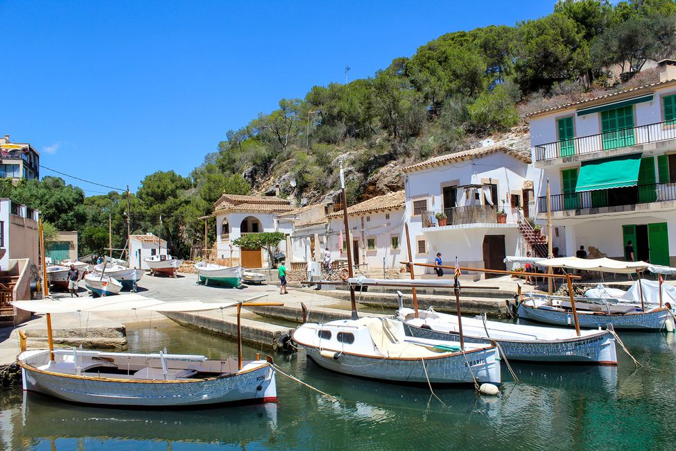 palma-boats-docked-near-houses