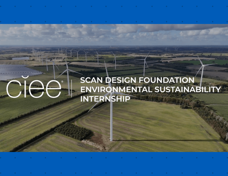A field of wind turbines with the text "CIEE SCAN Design Foundation Environmental Sustainability Internship"
