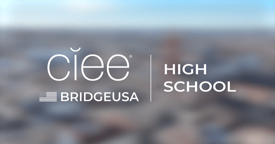 Bridgeusa-madrid-recap