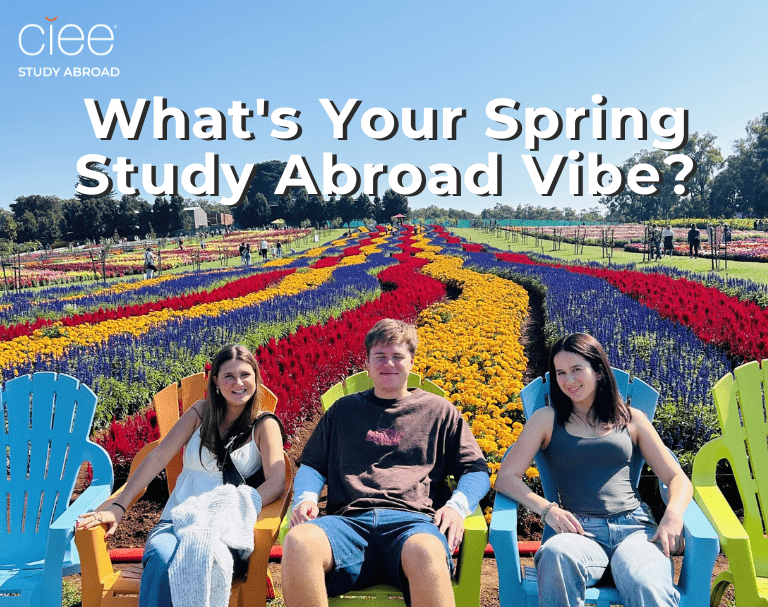 What's Your Spring Study Abroad Vibe?
