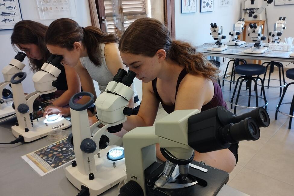 hssa-palma-students-with-microscopes.jpg