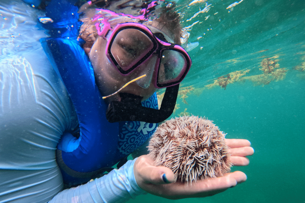 hssa-san-juan-student-snorkeling-with-sea-urchin-module-2.png