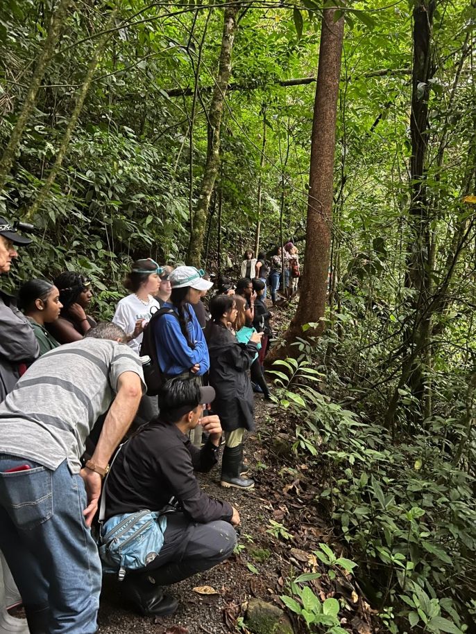 Tapir Valley Hike