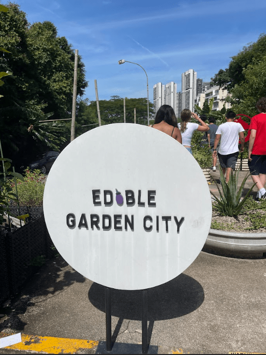 Students visited Edible Garden City to learn more about agriculture and sustainability within the city