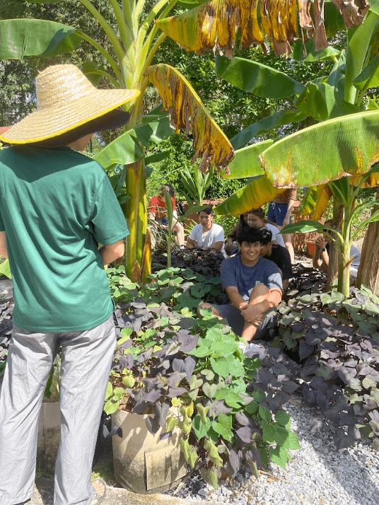 Students sitting in the shade of the banana trees as they learn at Edible Garden City