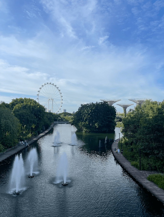 Gardens by the Bay Dragonfly Lake