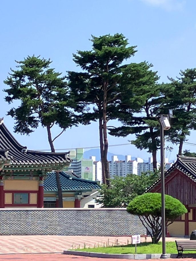 EDWIN’S PIC(K): The view from our hanok hotel in Gangneung.