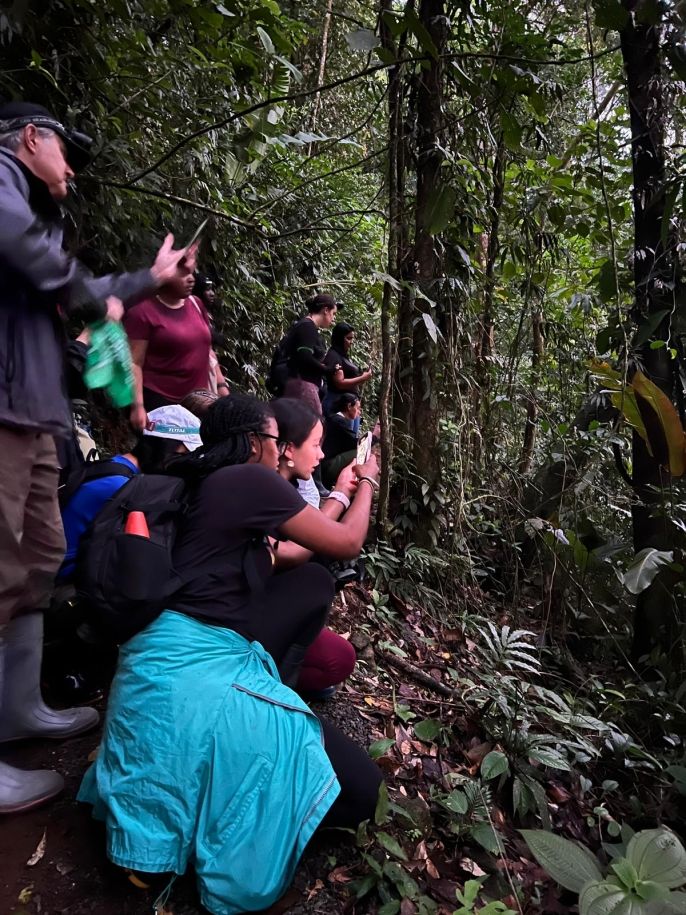 Tapir Valley Hike