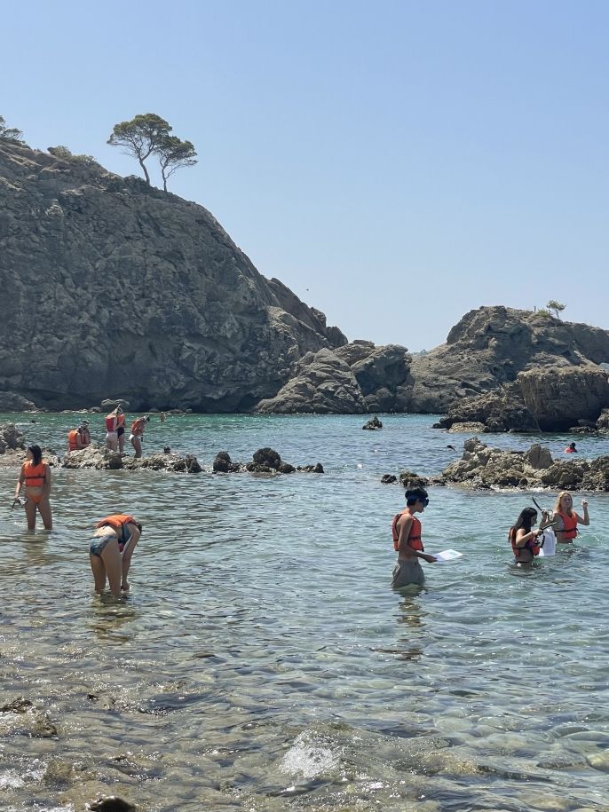 Mallorca's Marine Ecosystems