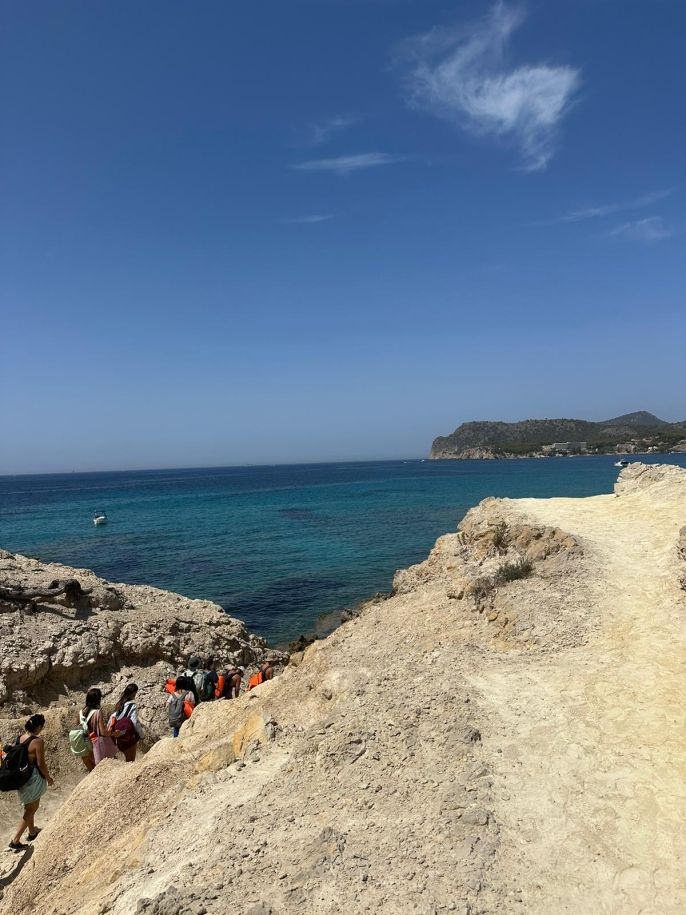 Mallorca's Marine Ecosystems