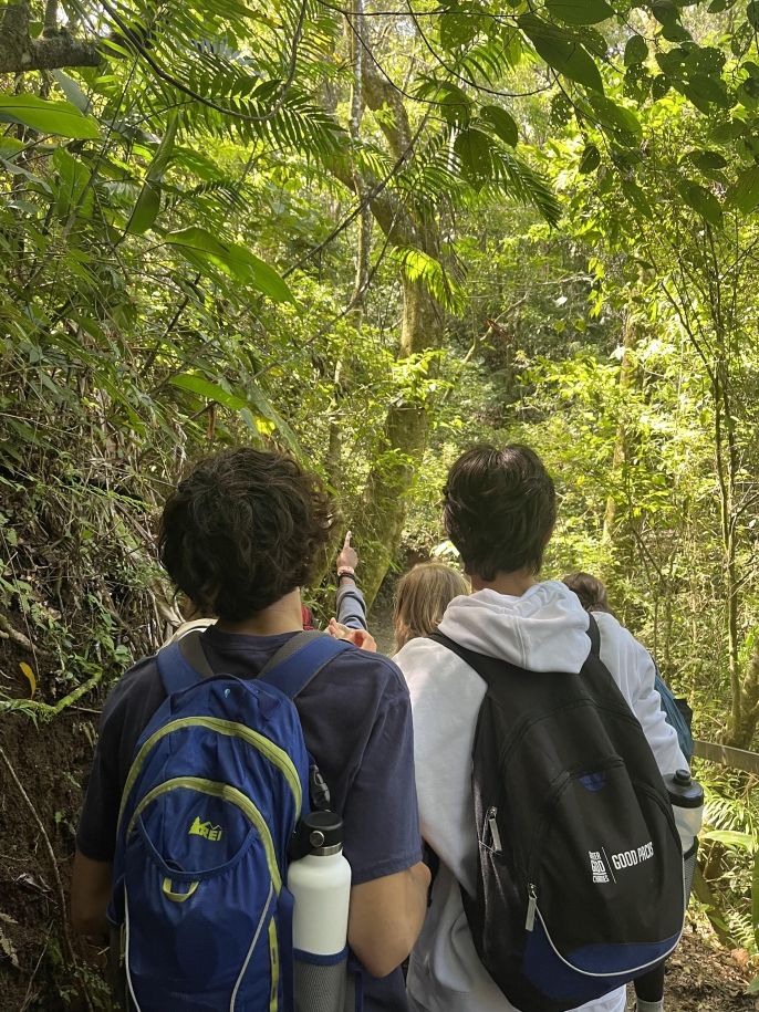 Bosque Eterno de los Niños