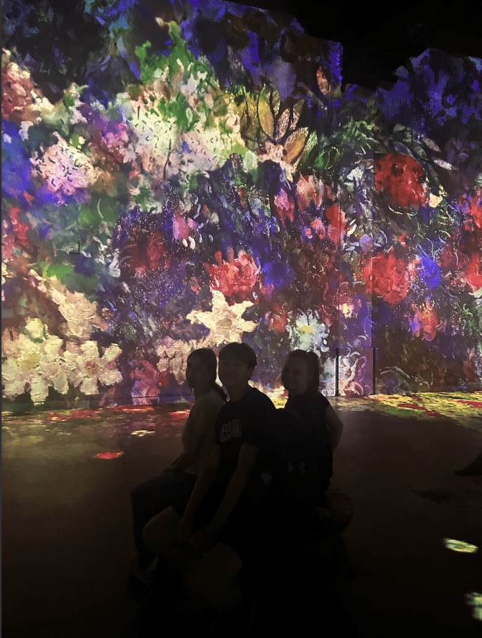 Atelier Des Lumières