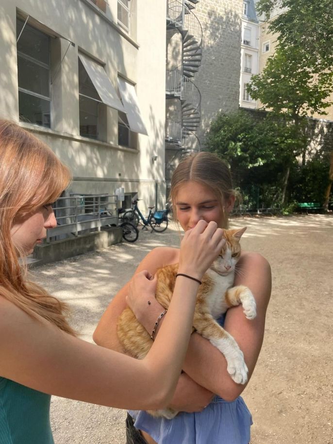 the author and school cat