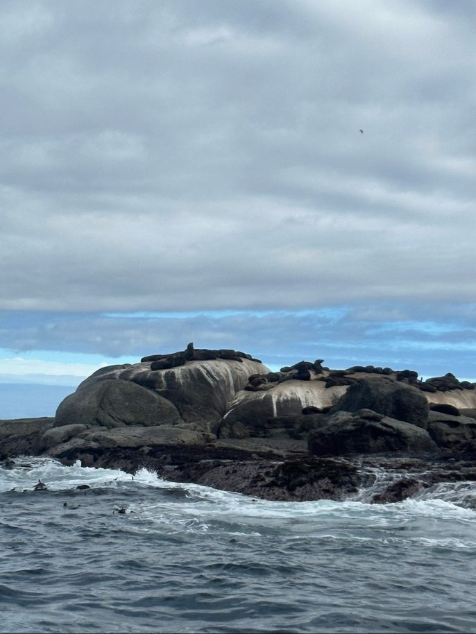 A first look at Duiker Island