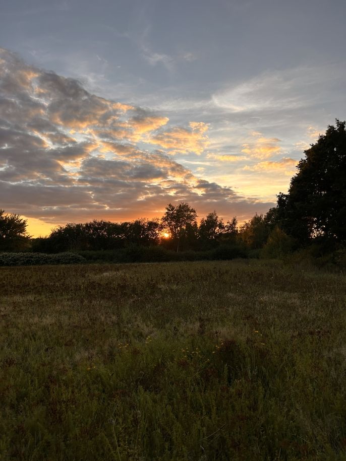 A sunset view from a nearby field 