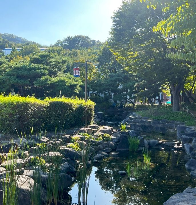 This was taken at Namsangol Hanok Village to capture the beautiful traditional natural scenery that Seoul offers.