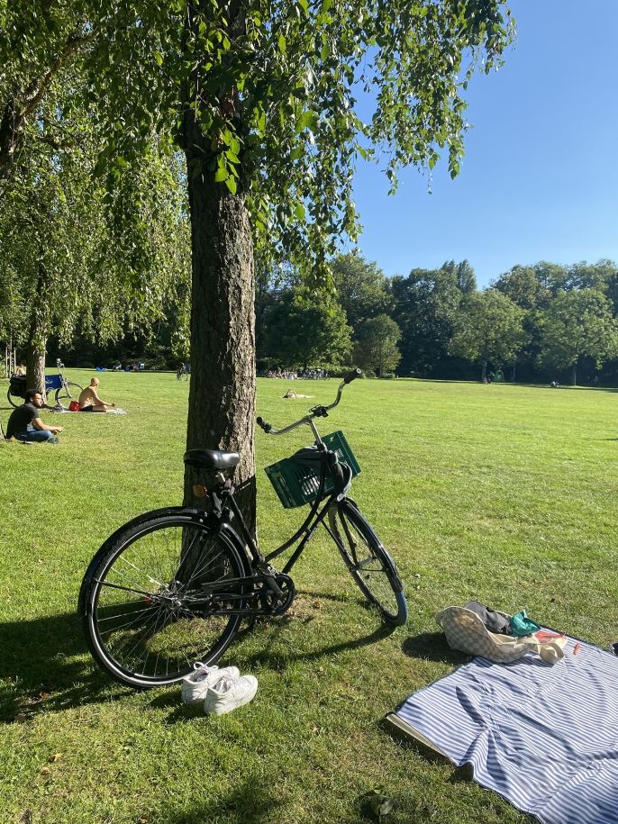 amsterdam bike against tree park