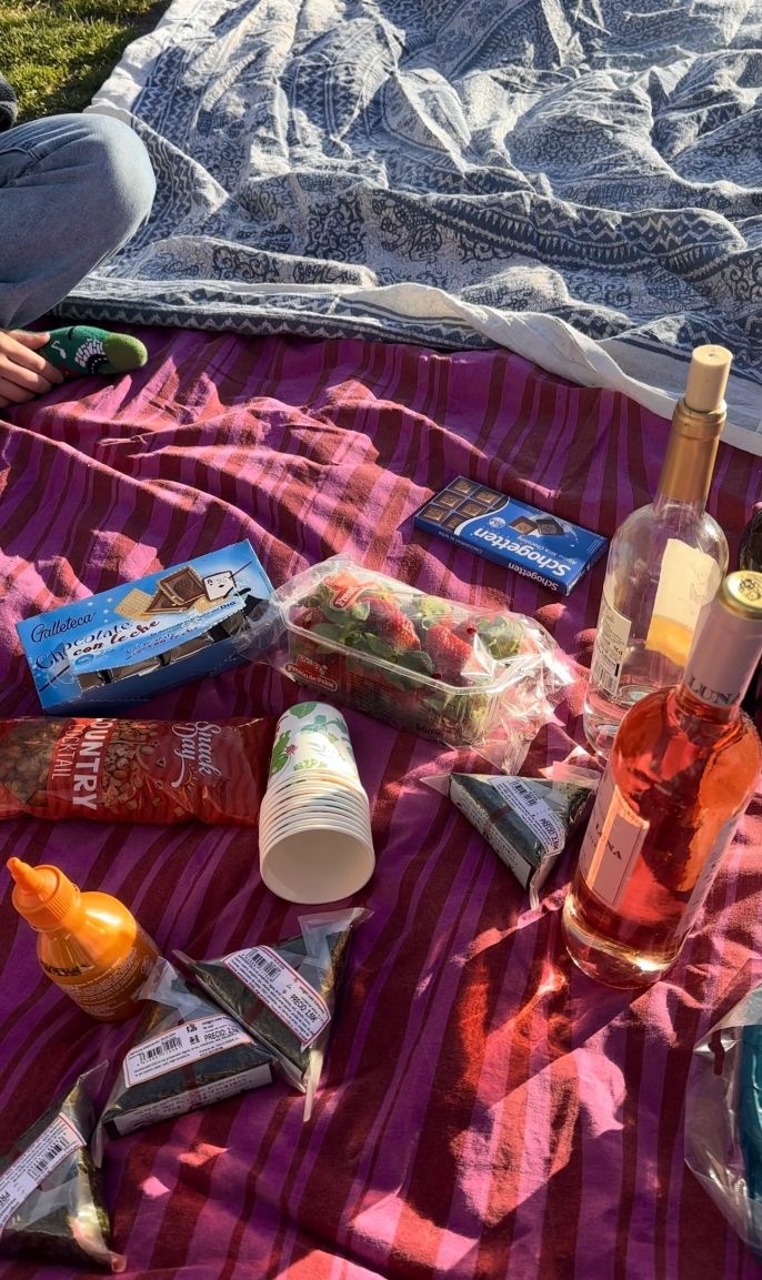 Picnic in the park with cheap wine and cheap groceries!