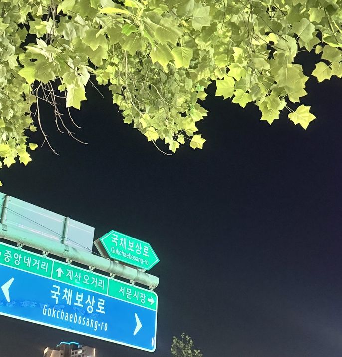 Daegu Street Sign