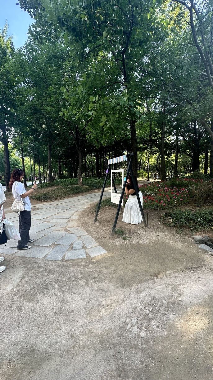 Pictures in the Seoul Forest
