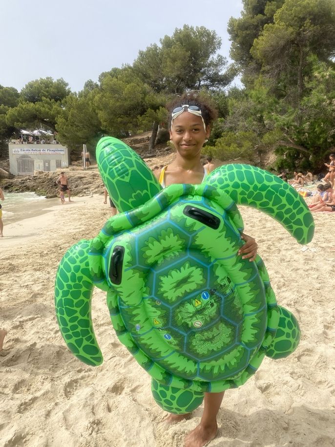 turtle!