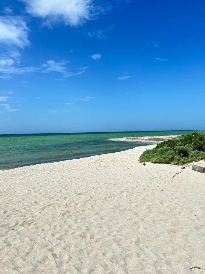the view of the beach 
