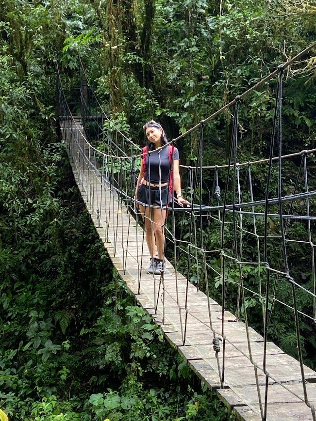 Hanging bridges