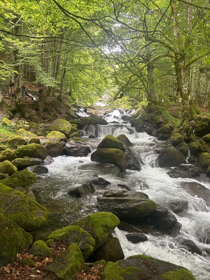 Nature