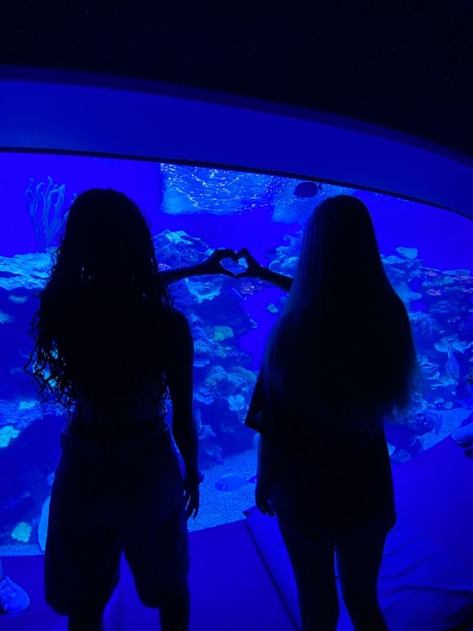 students at aquarium 