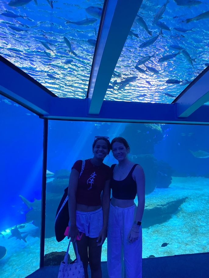 students at aquarium 