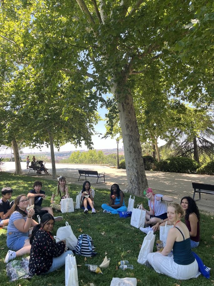 Picnic at Templo de Debod