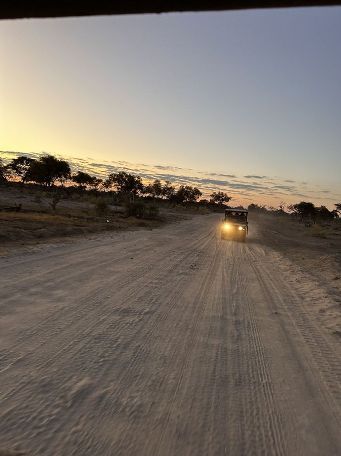Time for a game drive in the Okavango!