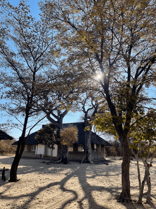 Lodging at Khama Rhino Sanctuary.