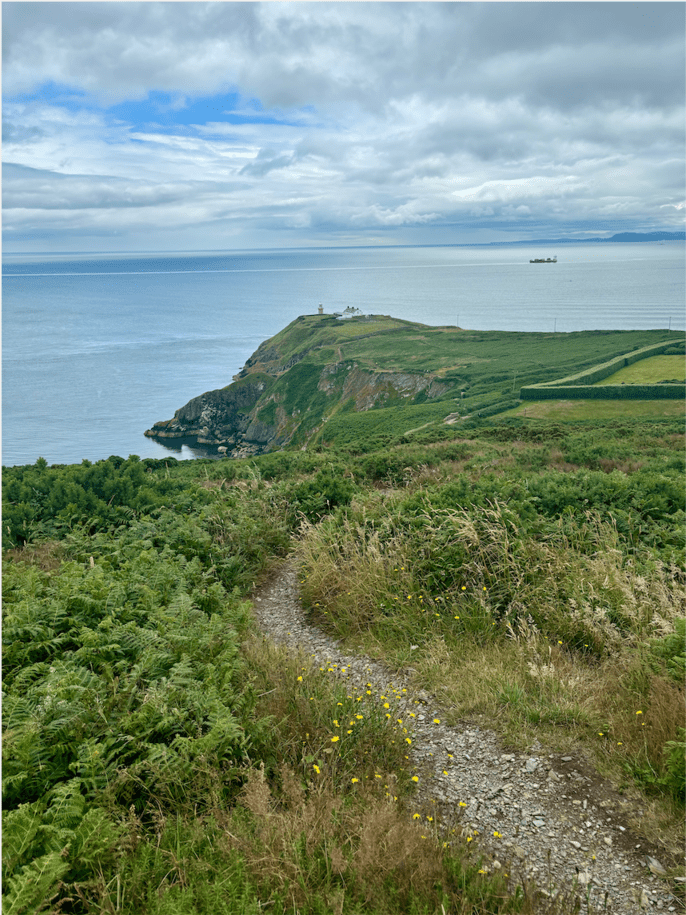 View from the summit