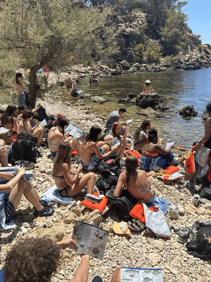 Fieldwork identifying animals