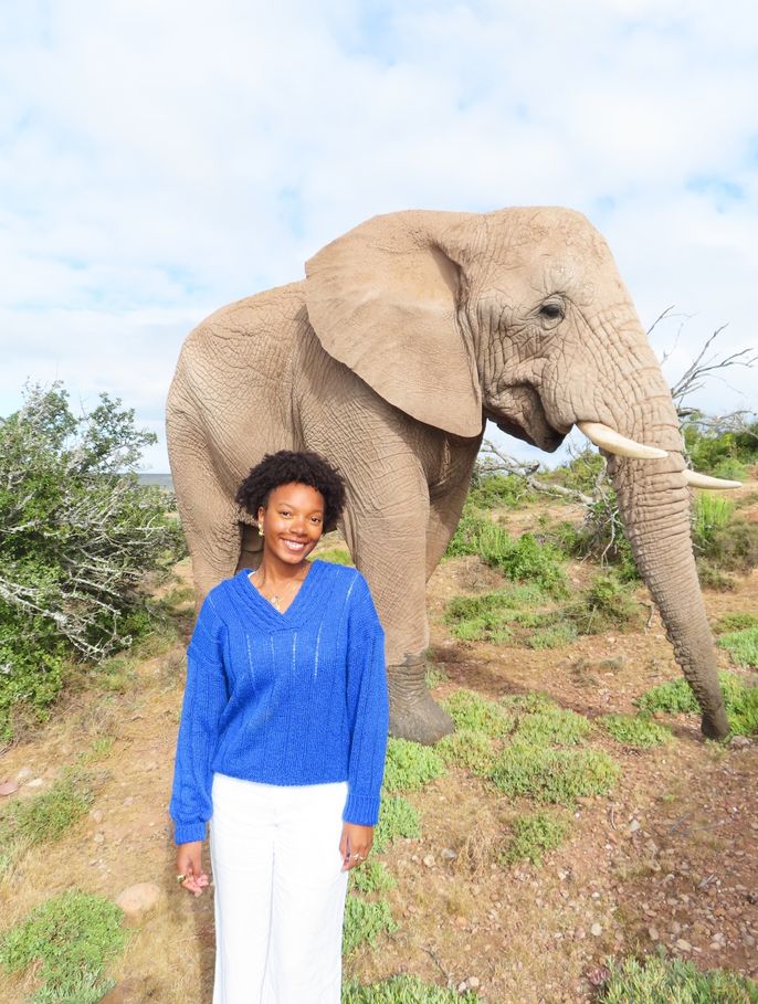 student abroad elephant
