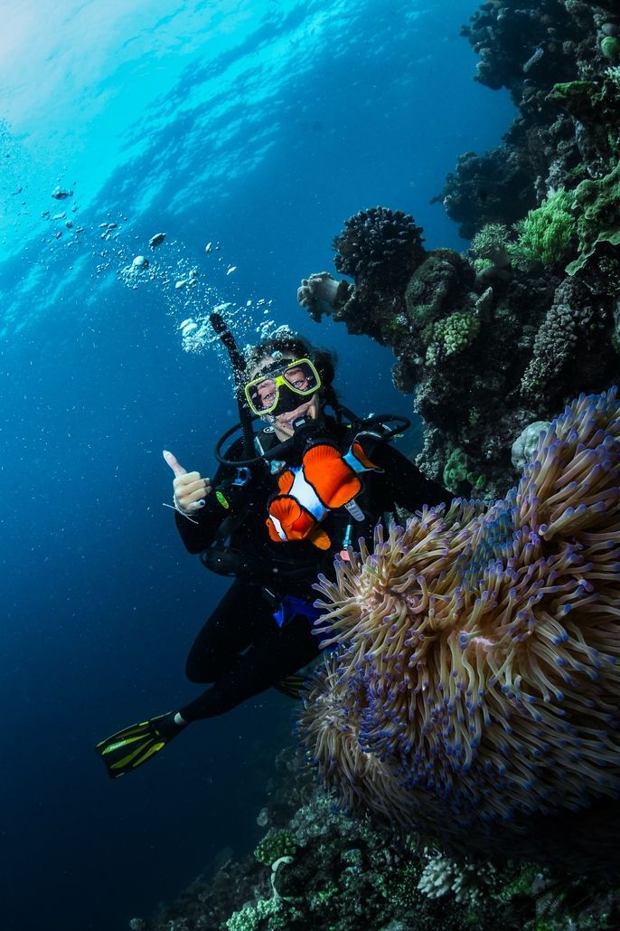 scuba diving australia study abroad ciee