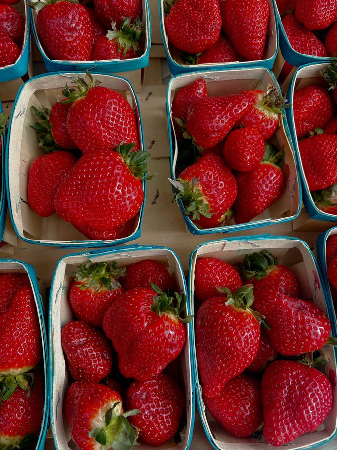Fraises