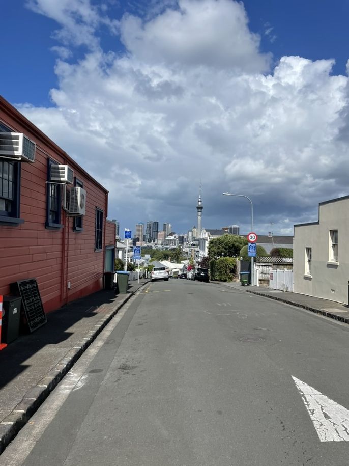 Aukland Sky Tower seen from afar