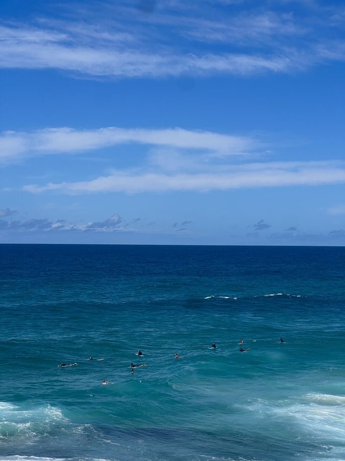 sydney study abroad CIEE ocean