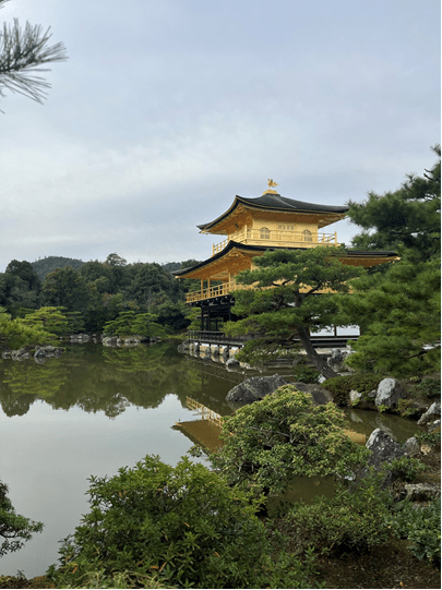 kyoto study abroad CIEE japan