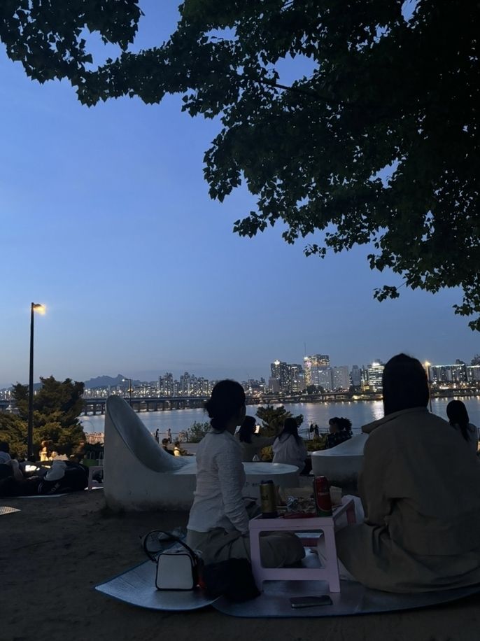 Picnic scene at Han River Park