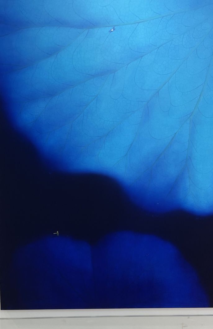 The Little Prince scale comparison in The Blue Series
