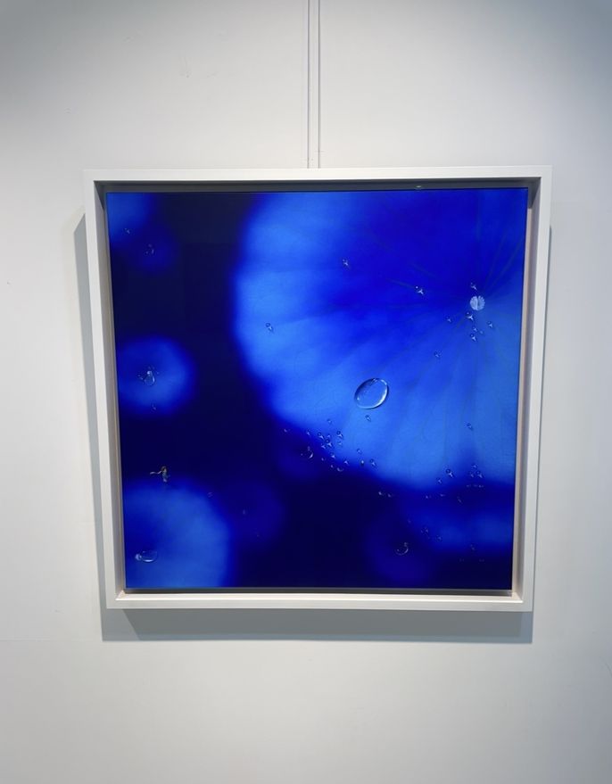 Nam Sang Woon's Blue Series